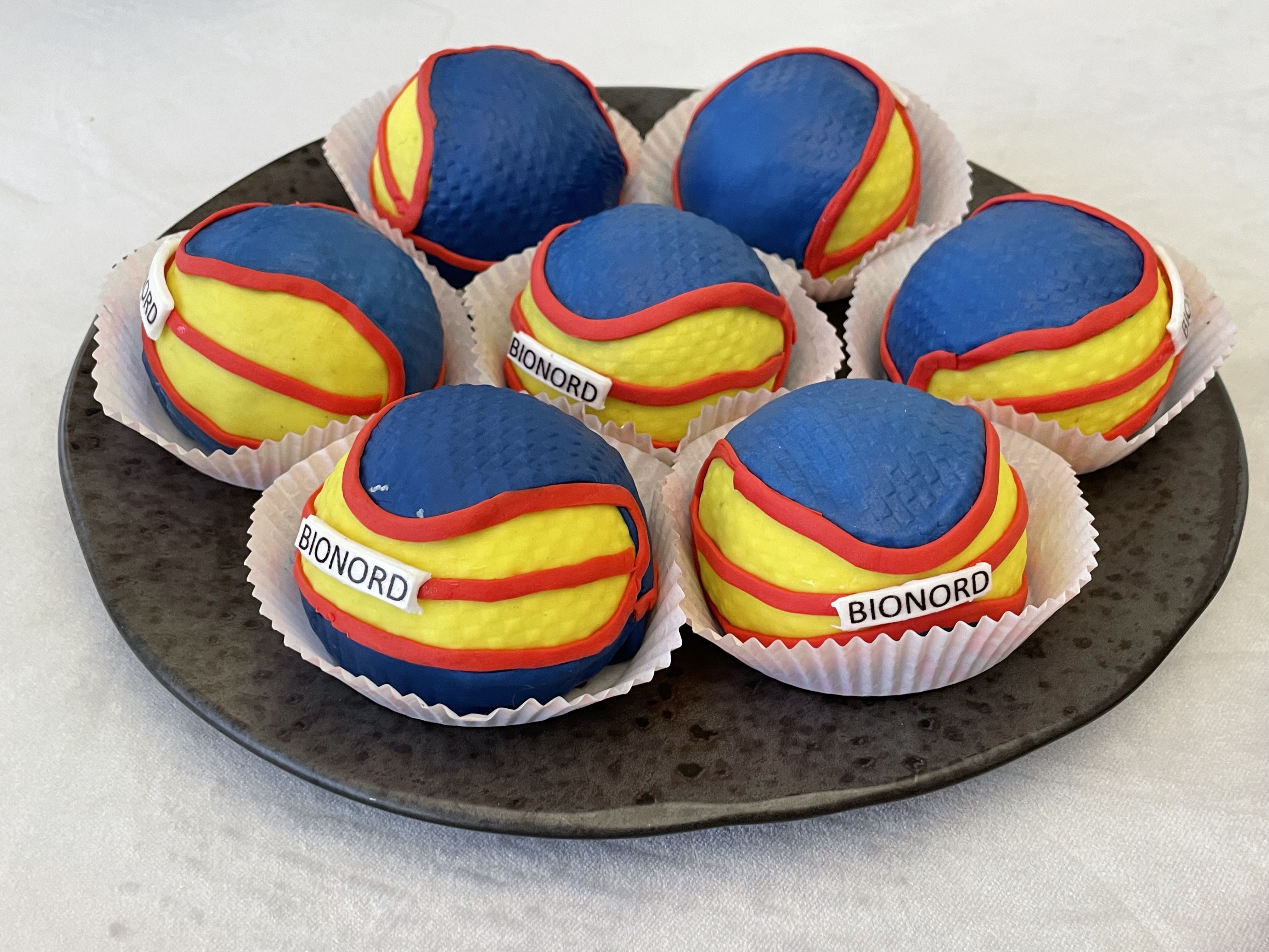 Генеральный директор УЗПМ Дмитрий Пылёв поздравил баскетбольные команды Bionord и Bionord Pro с успешным завершением сезона, рис. 4 Генеральный директор УЗПМ Дмитрий Пылёв поздравил баскетбольные команды Bionord и Bionord Pro с успешным завершением сезона, рис. 4